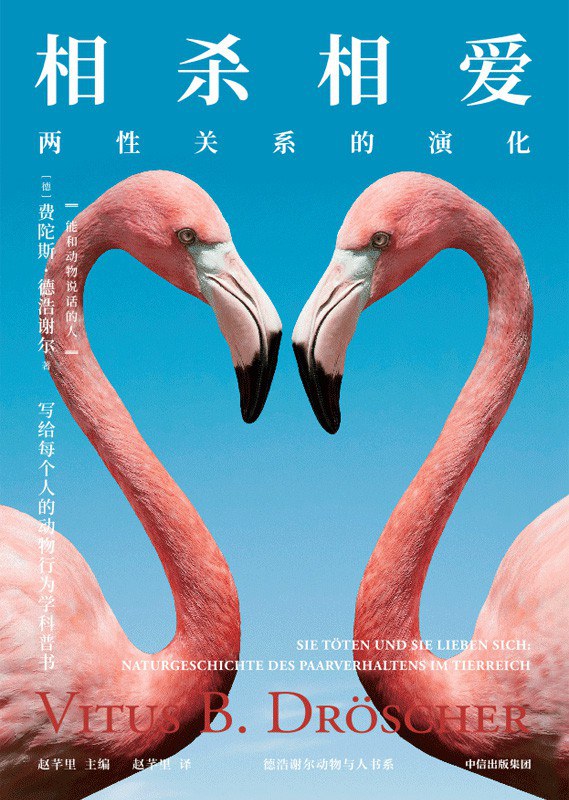 《相杀相爱》封面